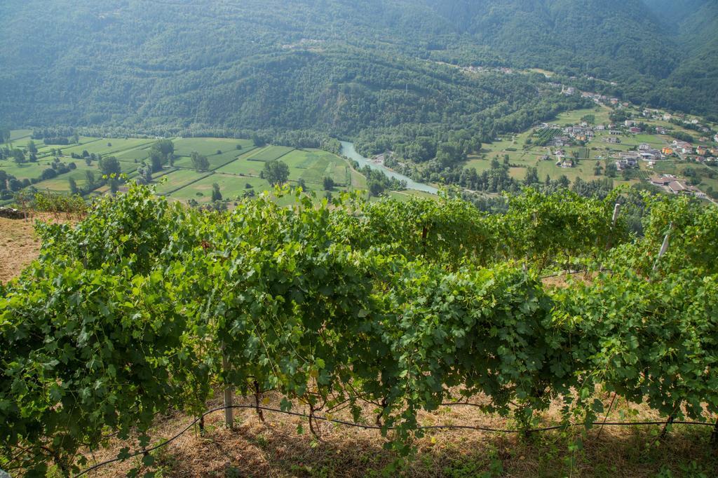 B&B Ca' La Vedescia Teglio Kültér fotó